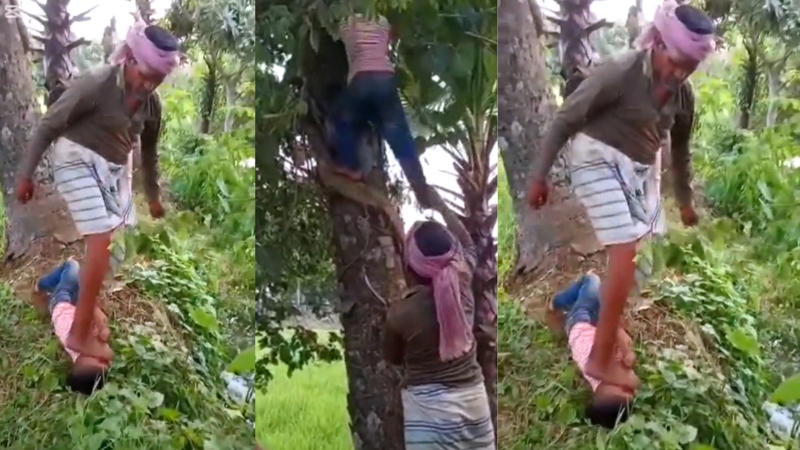 তাল পাড়ার ঘটনায় শিশুকে অমানবিক নির্যাতন