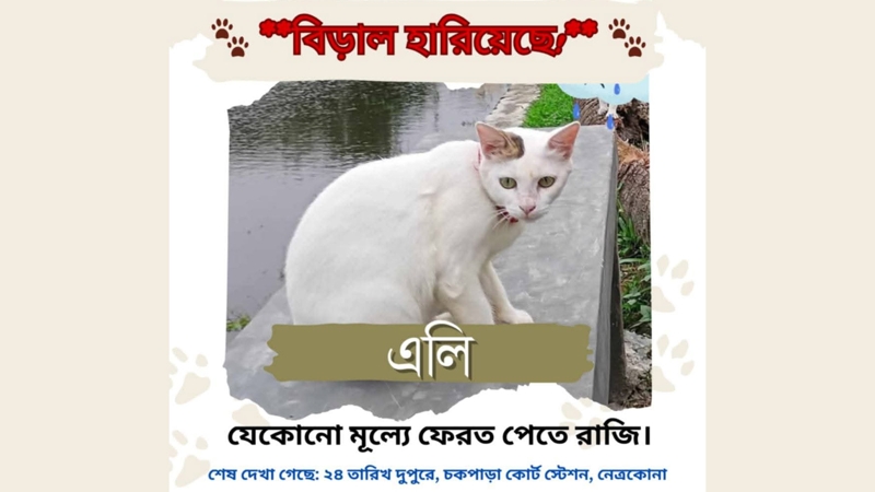 হারানো বিড়াল খুঁজে পেতে থানায় জিডি