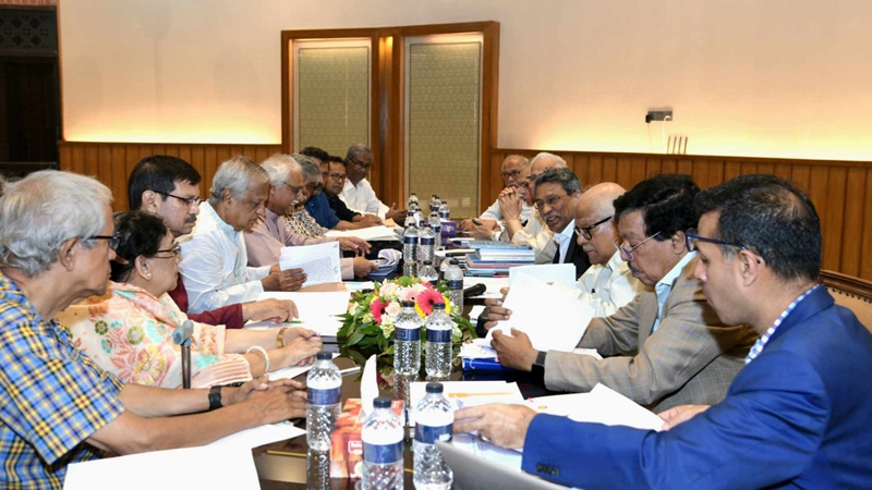 দলীয় ভিন্নমত লক্ষ্যপূরণে বাধা হবে না : আলী রিয়াজ