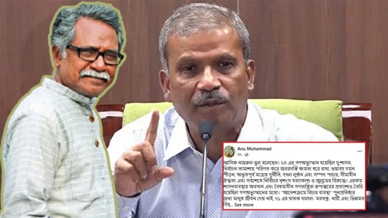 আসিফ নজরুল গণঅভ্যুত্থানের ইতিহাস বিকৃত করেছে: আনু মুহাম্মদ