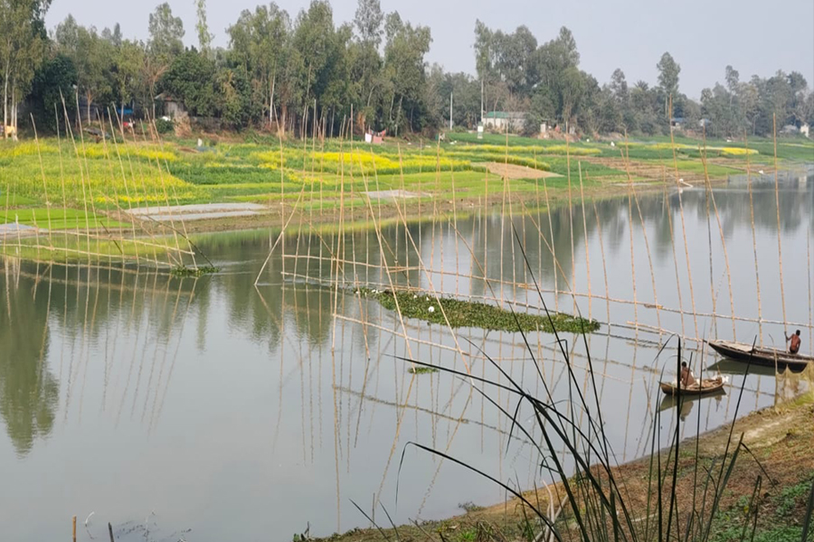 ভাঙ্গুড়ায় চুরি, ডাকাতি ঠেকাতে গুমানি নদীতে বাঁশের বেড়া