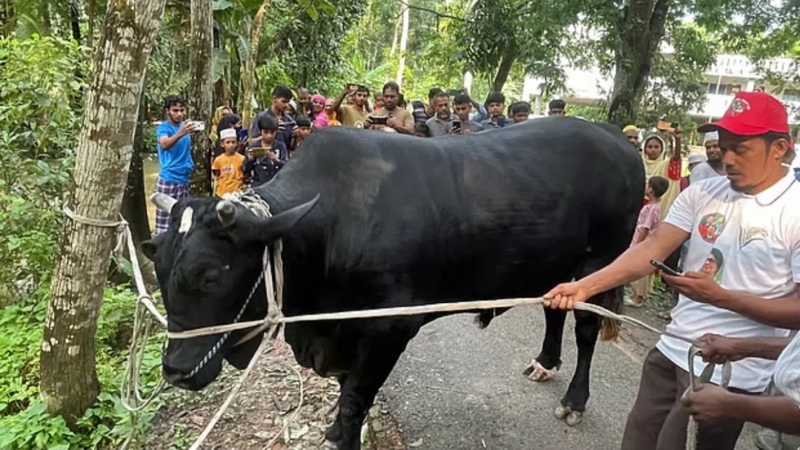 উপহারের বদলে দোয়া চেয়েছেন খালেদা জিয়া