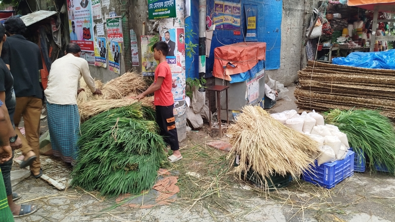 জমে উঠেছে আবাসিক এলাকার গোখাদ্যের বাজার
