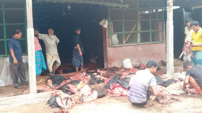 নির্ধারিত দামে চামড়া কিনতে চাইছেন না আড়তদাররা