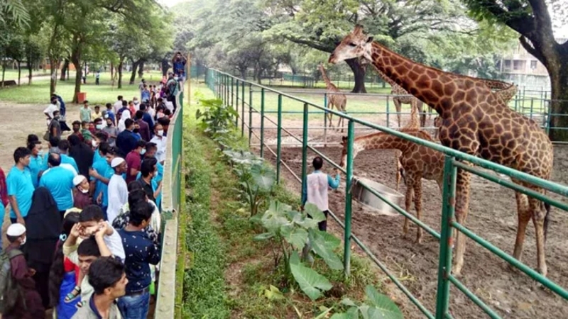 ঈদের দ্বিতীয় দিনে চিড়িয়াখানায় উপচে পড়া ভিড়