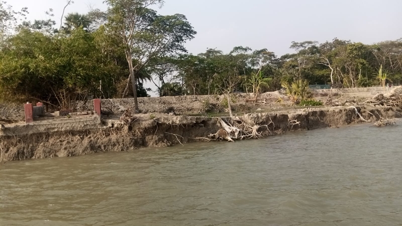 নদীর স্রোতে হারিয়ে যাচ্ছে 'চালিতাবুনিয়া'