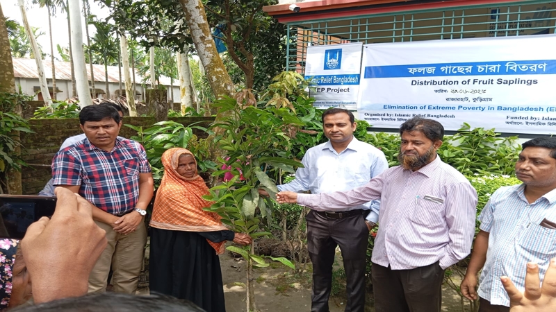 কুড়িগ্রাম ইসলামিক রিলিফ ইউকের উদ্যোগে গাছের চারা বিতরণ