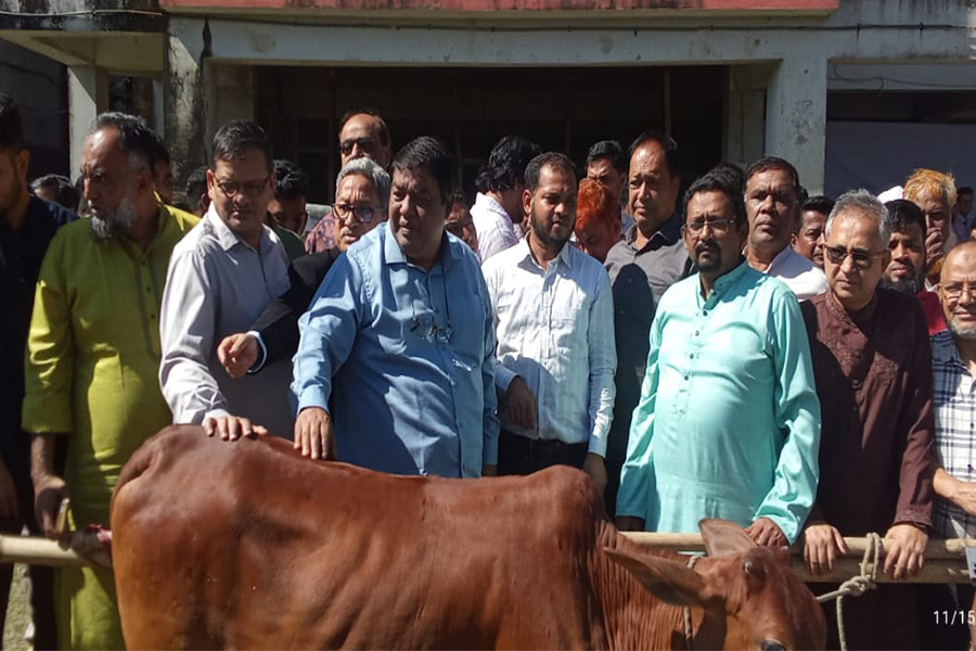 বাঁশখালীতে ফ্রি ভেটেরিনারী মেডিক্যাল ক্যাম্প অনুষ্ঠিত