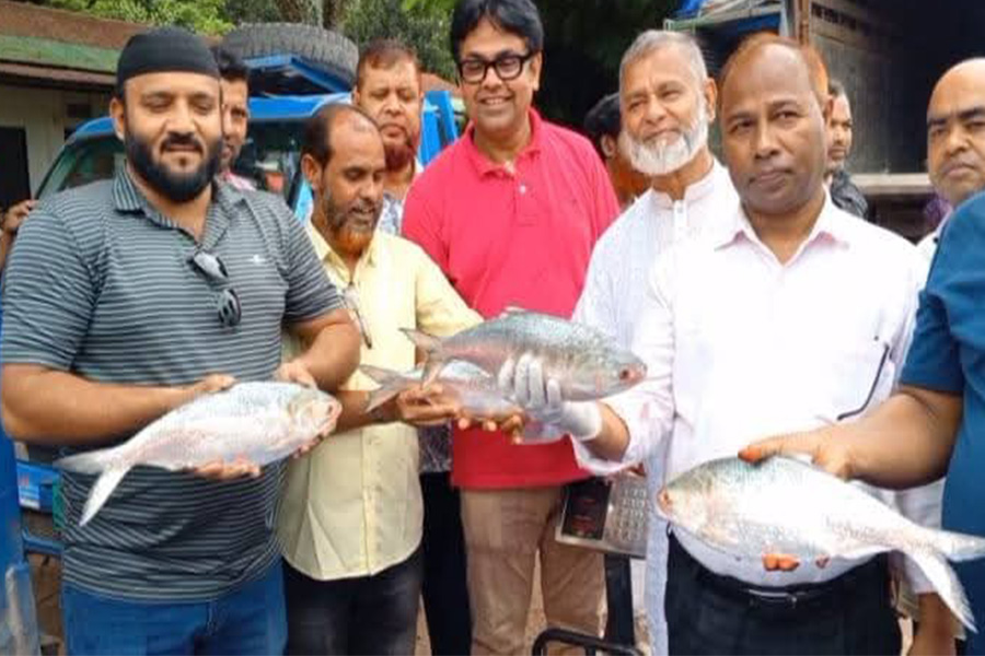 দুর্গাপূজা উপলক্ষে ভারতে গেল ১২শ' কেজি ইলিশ