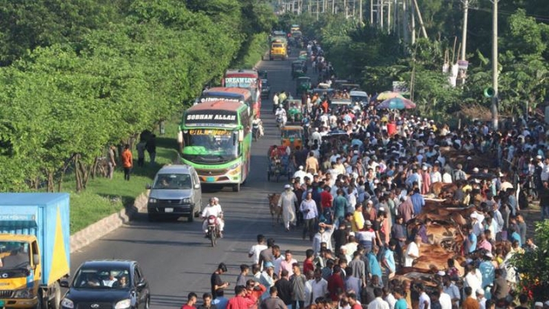 মহাসড়ক ঘেঁষে ২৩০ পশুর হাট