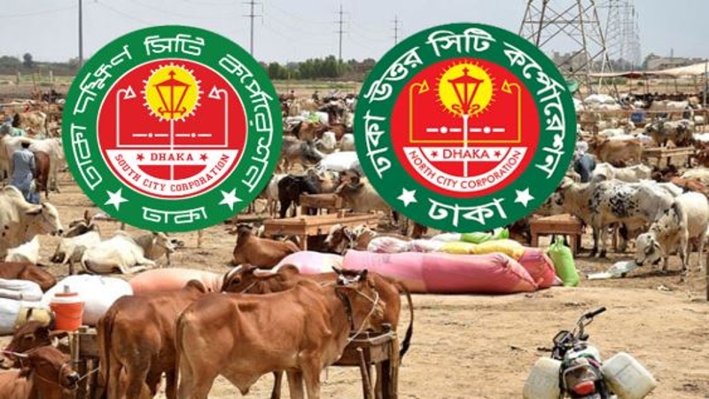 দুই সিটিতে যত হাট