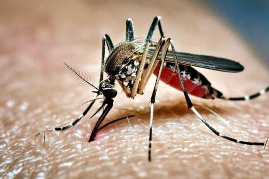 ডেঙ্গুতে একদিনে ৮ মৃত্যু, হাসপাতালে ভর্তি ৭৭৮