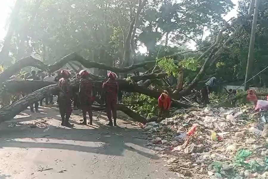 ঢাকা-বরিশাল মহাসড়কে গাছ ফেলে লকডাউন কর্মসূচি পালন