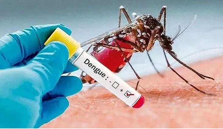 একদিনে আরও ৬১৯ জনের ডেঙ্গু শনাক্ত, মৃত্যু ১