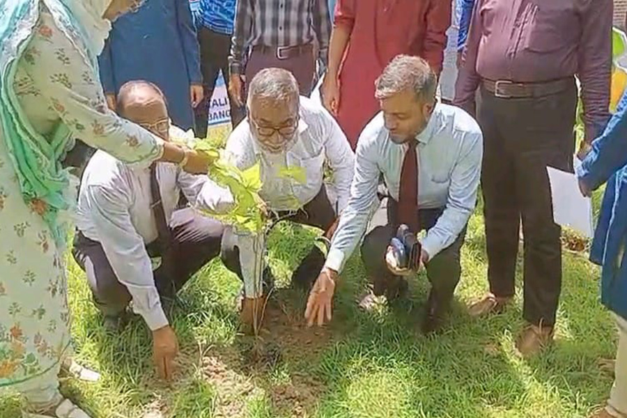 ওয়ার্ল্ড ট্যুরিজম ডে উপলক্ষে ইবিতে বৃক্ষরোপণ কর্মসূচি