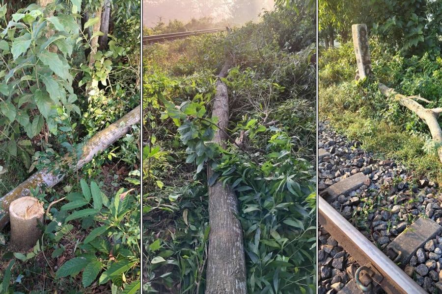 ফেনীতে গাছ কেটে রেললাইনে ফেলে নাশকতার চেষ্টা