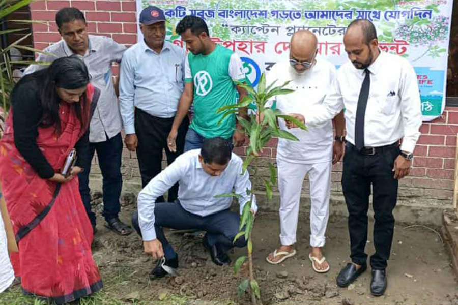ঝালকাঠিতে ডিসিকে নিয়ে আওয়ামীলীগ নেতার বৃক্ষ রোপন