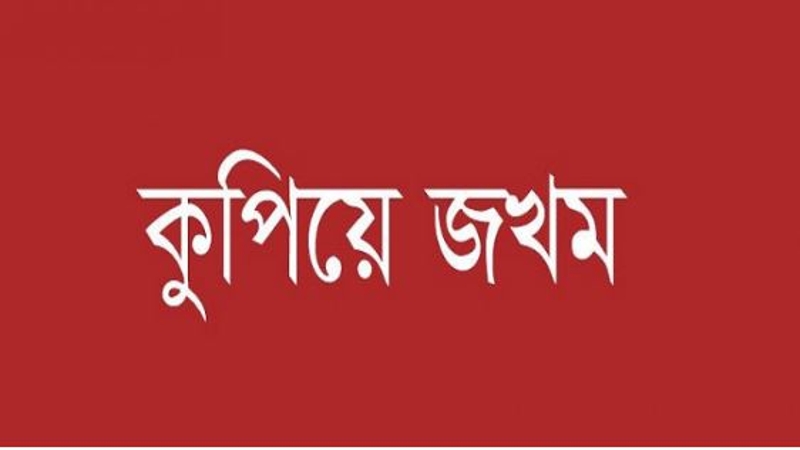 আ.লীগ নেতার হামলায় ছাত্রদলের ৫ কর্মী আহত