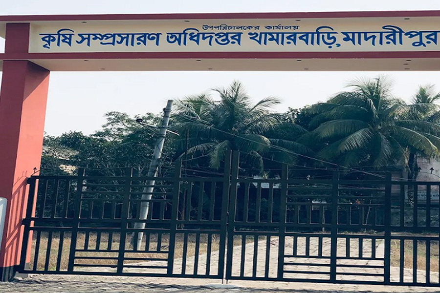 মাদারীপুরে কৃষি কর্মকর্তা সংকটে সেবা থেকে বঞ্চিত কৃষকরা