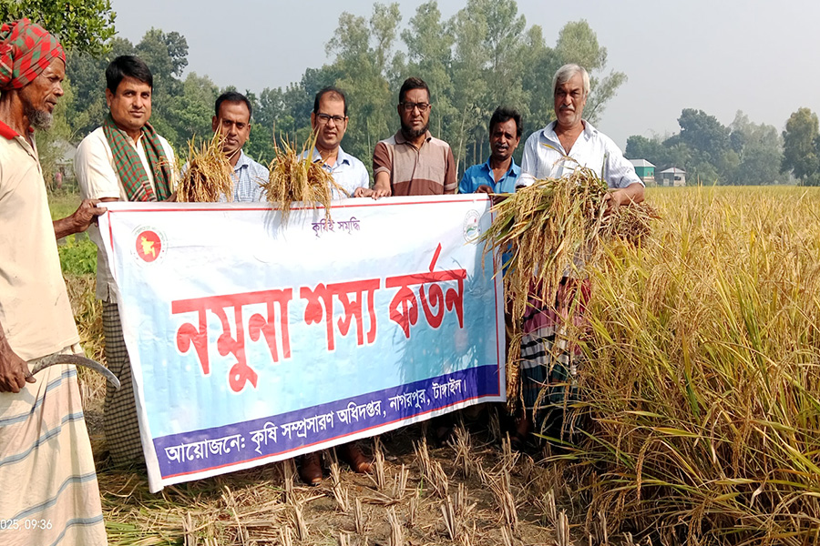 নাগরপুরে ব্রি ১১০ ধান আবাদে সফল কৃষক রিপন