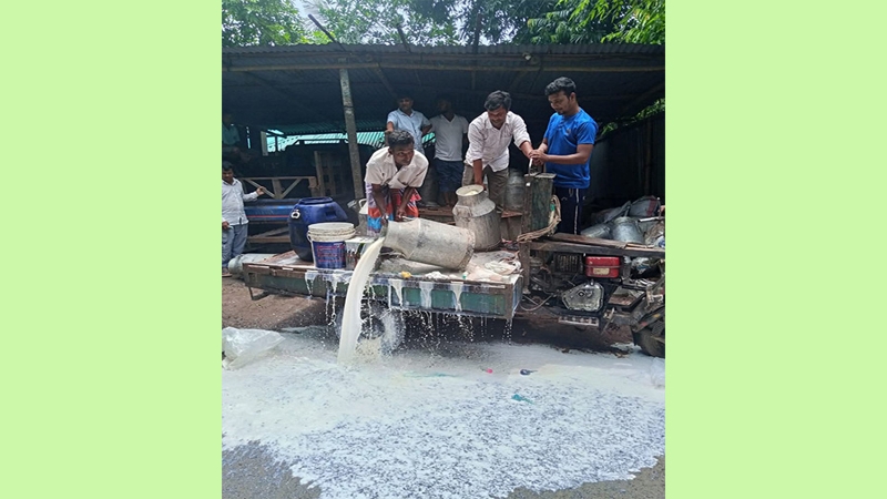 পাবনায় বিপুল পরিমাণ নকল দুধ জনসম্মুখে নষ্ট