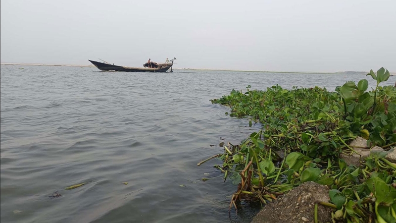রাজশাহীতে বাড়ছে পদ্মার পানি