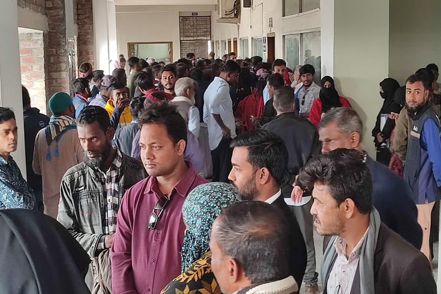 আটটি কুকুরছানা হত্যা মামলায় সেই নিশি রহমানের জামিন মঞ্জুর