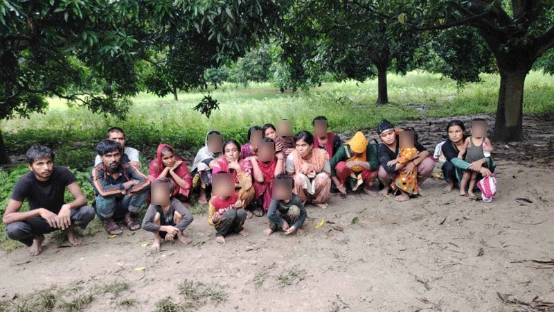 মাসুদপুর সীমান্ত দিয়ে ২০ জনকে ঠেলে পাঠাল বিএসএফ