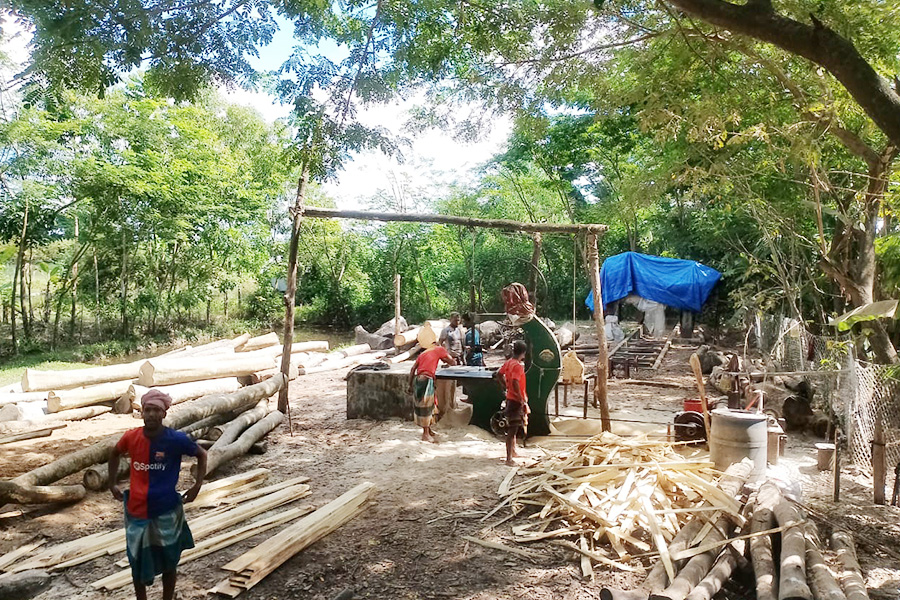 রাঙ্গাবালীতে লাইসেন্সবিহীন করাতকল, বন বিভাগের হুশিয়ারি