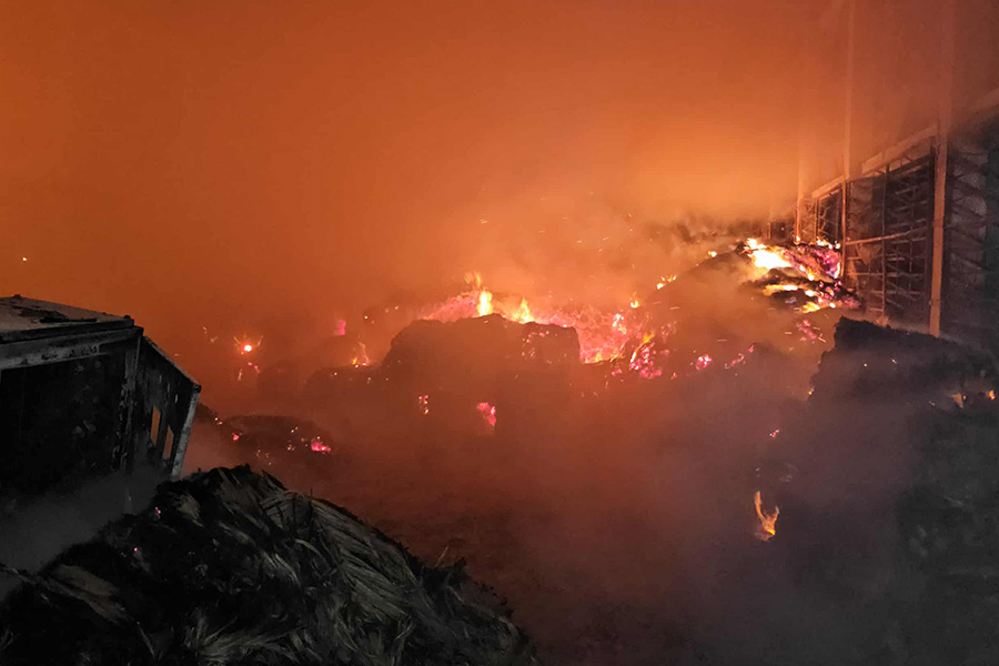 রাজবাড়ীতে অরিয়েট জুট মিলে ভয়াবহ অগ্নিকাণ্ড