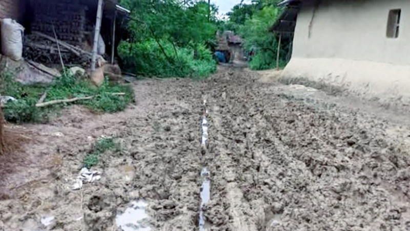 রাজশাহী তানোরে মাটির রাস্তায় হাজারো মানুষের দুর্ভোগ