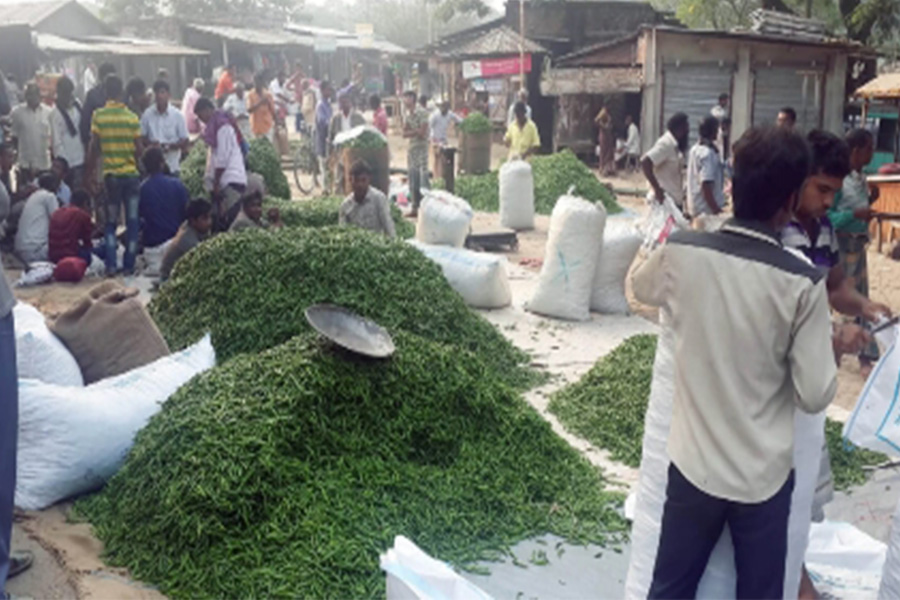 রাজশাহী বাঘায় সবজি বাজার অস্থির, কাঁচা মরিচে আগুন!