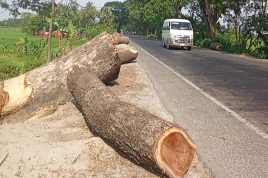 রাজশাহীতে সবুজ নগরী’র ঐতিহ্য হুমকির মুখে