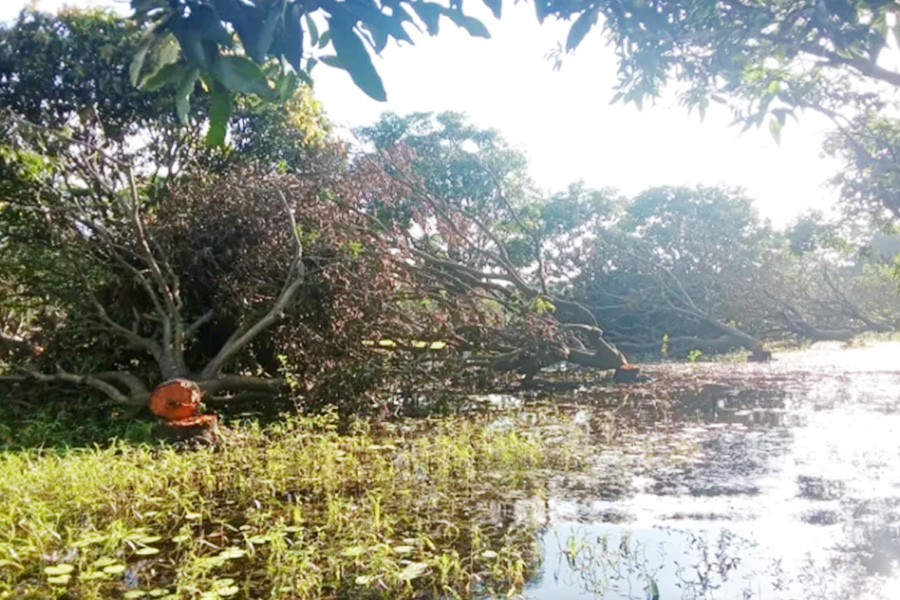পরিবেশের ভারসাম্যে আঘাত, তীব্র হচ্ছে জলবায়ু