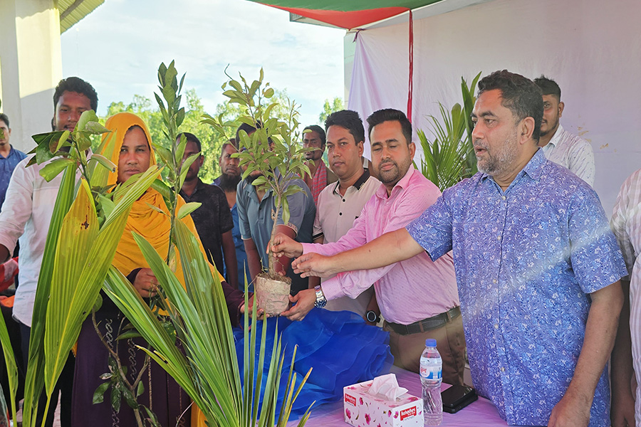 জলবায়ু পরিবর্তন মোকাবেলায় রাঙ্গাবালীতে বৃক্ষ বিতরণ কর্মসূচি অনুষ্ঠিত