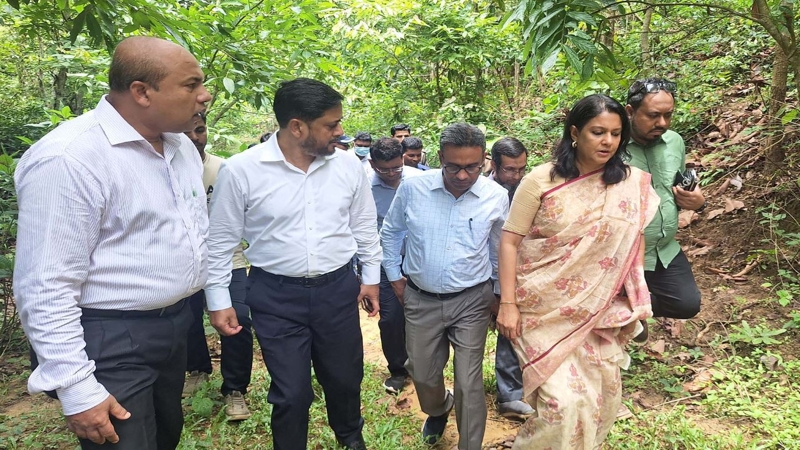 পরিবেশ উপদেষ্টা সৈয়দা রিজওয়ানা হাসানের গাড়িবহরে হামলা