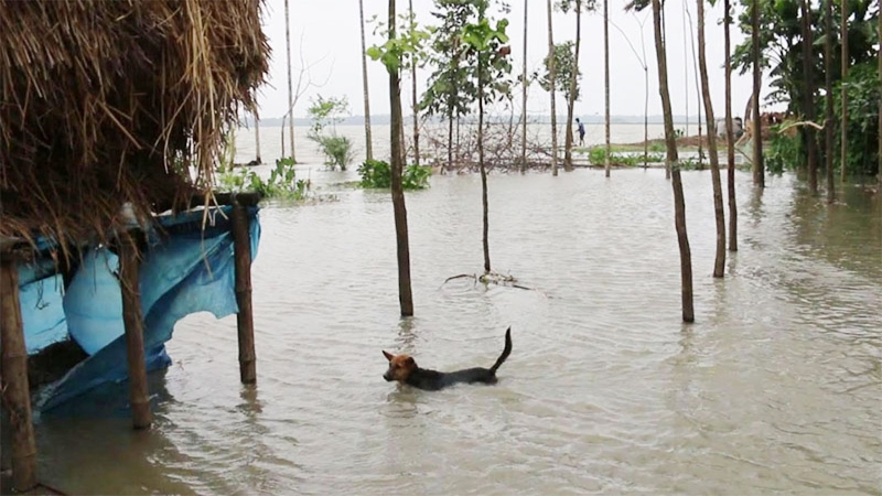 দক্ষিণাঞ্চলের তিন নদীর পানি বিপৎসীমার ওপরে