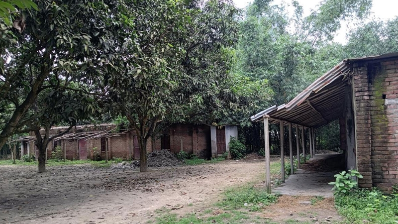 শিক্ষার্থী সংকটে রাজশাহীর বিদ্যালয়গুলো