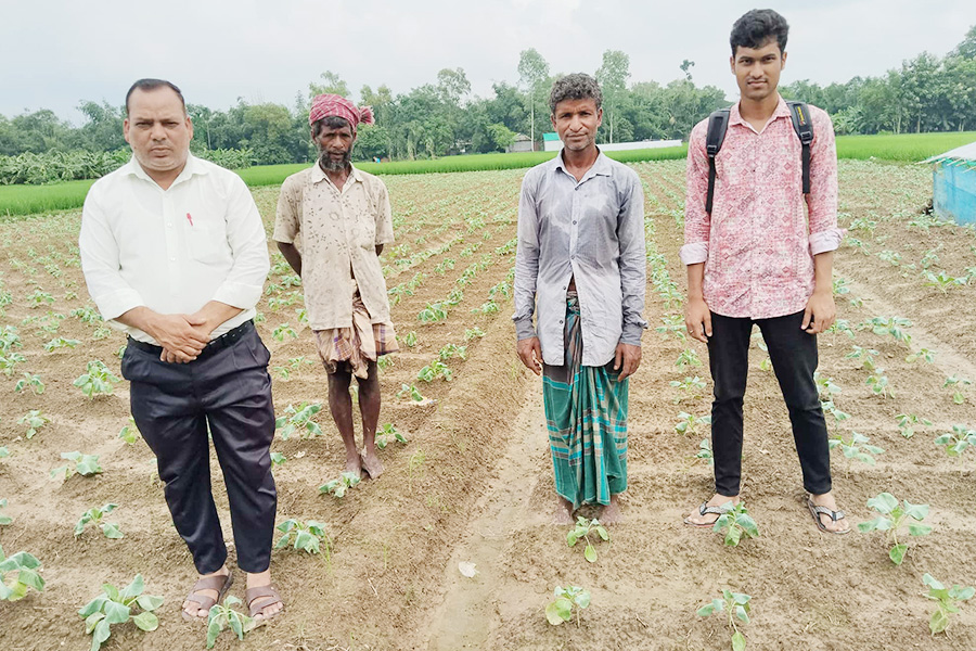 টাঙ্গাইলে আগাম শীতকালীন সবজি চাষে ব্যস্ত কৃষকরা