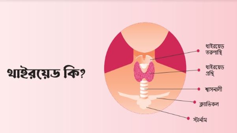 থাইরয়েড রোগের লক্ষণ ও চিকিৎসা
