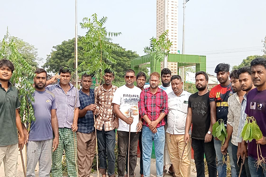 ভাঙ্গুড়ায় যুবদলের বৃক্ষরোপণ ও পরিচ্ছন্নতা কর্মসূচি সম্পন্ন