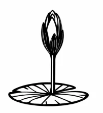 জাতীয় নাগরিক পার্টি প্রতীক